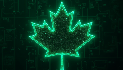 A visualiz - 768x1344 - Flux 1 cgf 20 steps 00006 